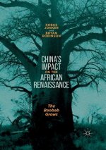 China's Impact on the African Renaissance