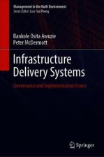 Infrastructure Delivery Systems