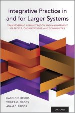 Integrative Practice in and for Larger Systems