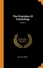Principles of Psychology; Volume 2