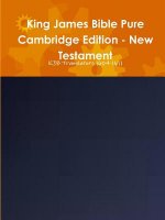 King James Bible Pure Cambridge Edition - New Testament