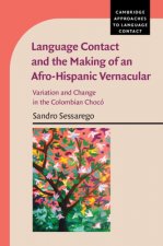 Language Contact and the Making of an Afro-Hispanic Vernacular