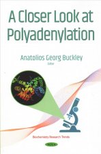 Closer Look at Polyadenylation