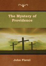 Mystery of Providence