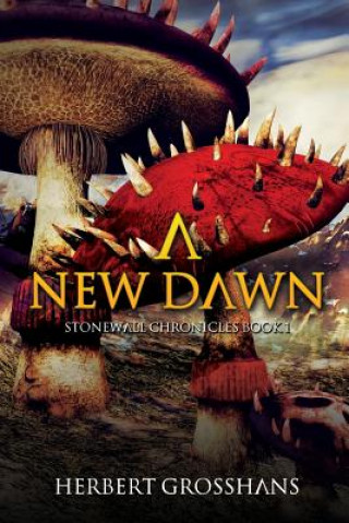 New Dawn