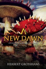 New Dawn