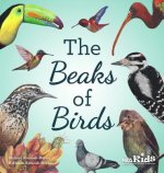 Beaks of Birds