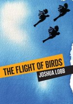 Flight of Birds