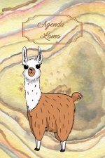 Agenda Lama: Agenda Universel Avec Couverture Et Int