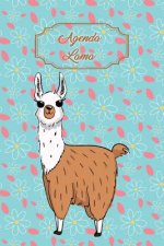 Agenda Lama: Agenda Perp