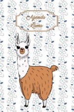 Agenda Lama: Agenda Perp