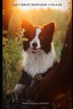 Le Chiot Border Collie