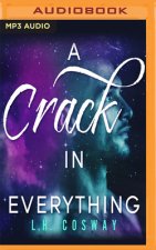 CRACK IN EVERYTHING A