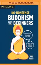 NONONSENSE BUDDHISM FOR BEGINNERS