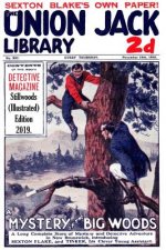 Mystery in the Big Woods (Illustrated)
