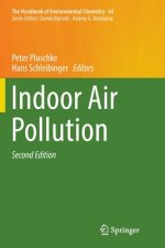 Indoor Air Pollution