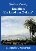 Brasilien: Ein Land der Zukunft (Großdruck)