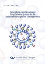 Entwicklung eines liposomalen ?Drug Delivery? Systems für die Radiochemotherapie von Tumorgeweben