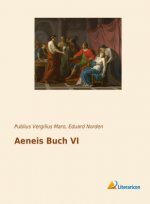 Aeneis Buch VI