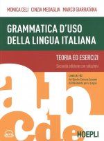 Grammatica d'uso della lingua italiana