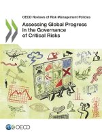 Assessing global progress in the governance of critical risks