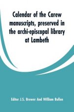 Calendar of the Carew manuscripts, preserved in the archi-episcopal library at Lambeth