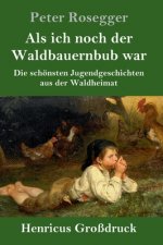 Als ich noch der Waldbauernbub war (Grossdruck)