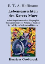 Lebensansichten des Katers Murr (Grossdruck)