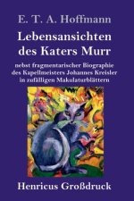 Lebensansichten des Katers Murr (Grossdruck)