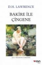 Bakire ile Cingene