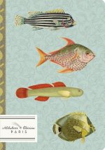 Carnaval: Underwater Carnival of Colorful Fish