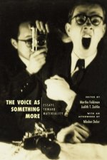 Voice as Something More