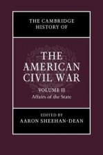 Cambridge History of the American Civil War: Volume 2, Affairs of the State