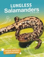 Lungless Salamanders