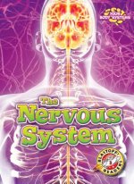 The Nervous System