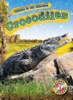 Crocodiles