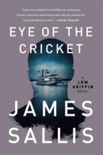 Eye of the Cricket