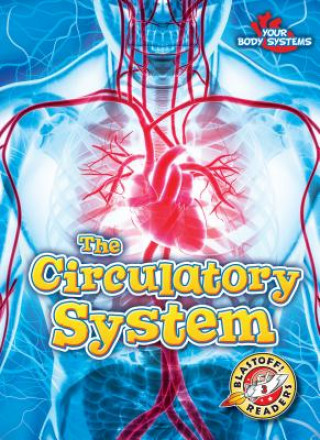 The Circulatory System