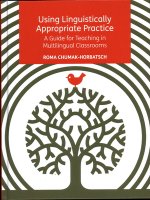 Using Linguistically Appropriate Practice