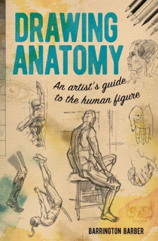 Drawing Anatomy: An Artist's Guide to the Human Figure