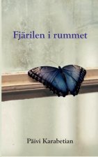 Fjarilen i rummet