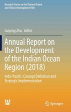 Annual Report on the Development of the Indian Ocean Region (2018)