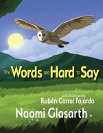 Words are Hard to Say
