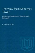 VIEW MINERVAS TOWER LEARNING IMAGINAP