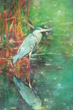 Notes: Grey Heron (Ardea Cinerea) - Blank College-Ruled Lined Notebook