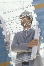 Dirección de Proyectos Y Complejos Industriales.: Riesgos Y Mitigaciones Para Considerar Durante La Dirección de Negocios Y Proyectos.