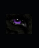Wolf: Limbo: Book 4 of the Wolf Series