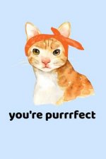 You're Purrrfect: Cat Diary 120 Pages 6 X 9