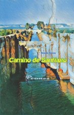 Camino de Santiago poemas