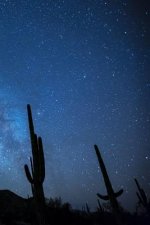 Milky Way with Cactus: The Milky Way Is the Galaxy That Contains Our Solar System. the Name Describes the Appearance from Earth: A Hazy Band